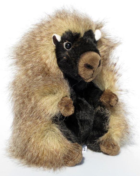 stachelschwein kuscheltier